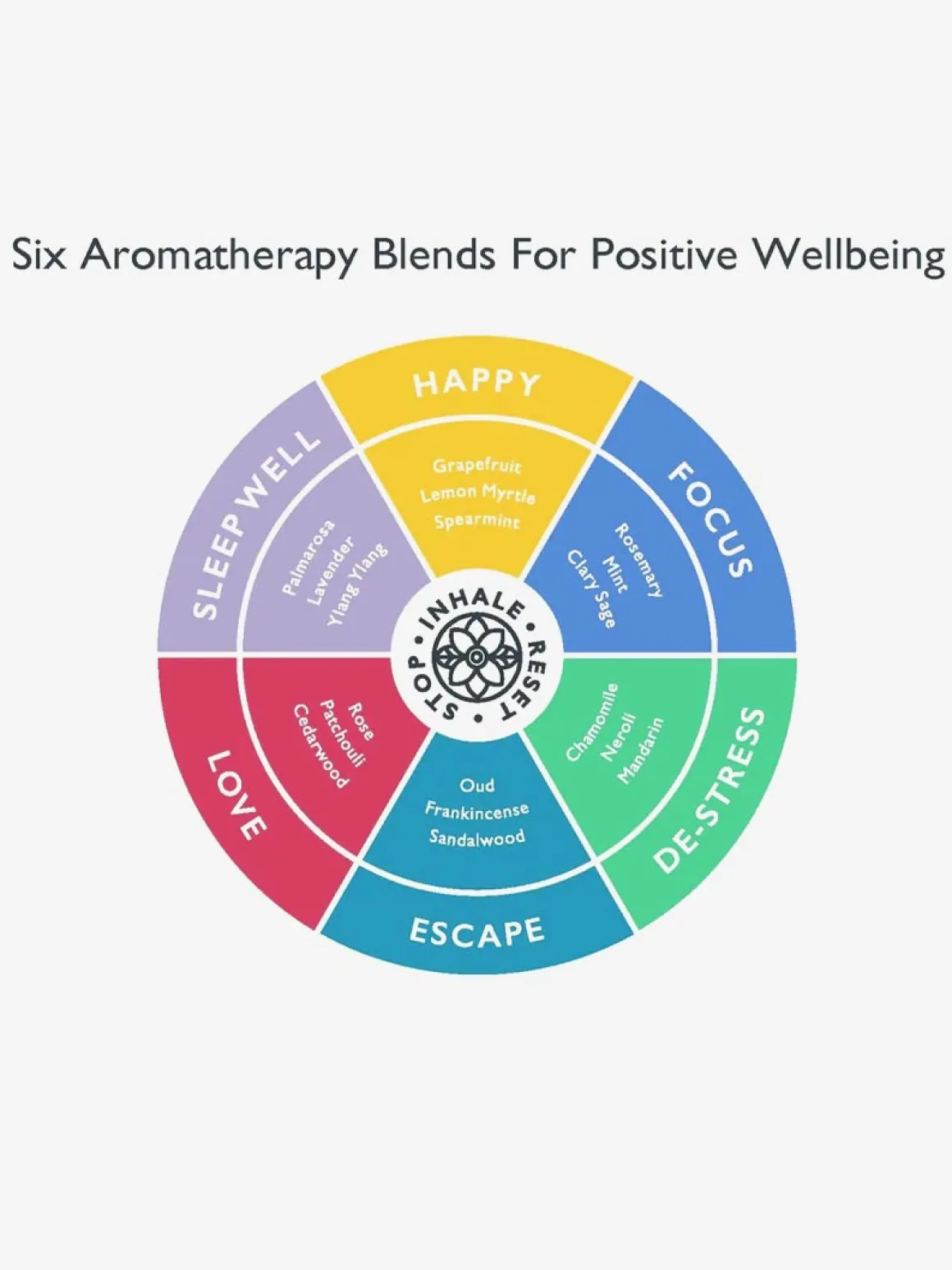 Aromatherapy Discovery Tin