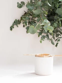 Bamboo Tea Strainer