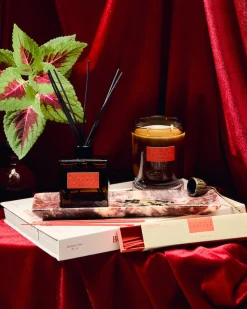 Hi-Fi Collection Incense - Plush Vetiver