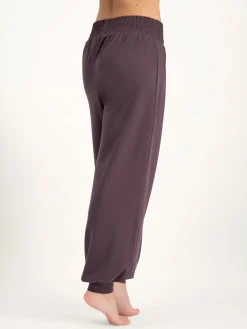 Jaya Harem Yoga Pants - Berry