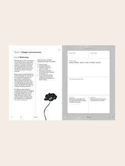 Journal - Dreamwork