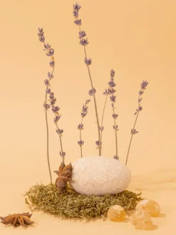 Liquid Soap 300ml - Anise Lavender