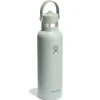 621ml (21oz) Standard Mouth with Flex Cap - Agave