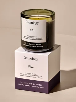 Osmology Utility Glass Candle - Fig