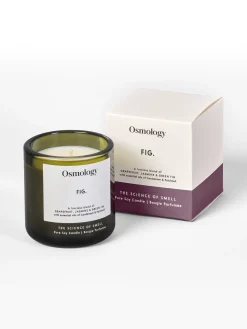Osmology Utility Glass Candle - Fig