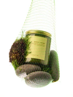 7.2oz Garedn Collection Candle - Mossy Stone