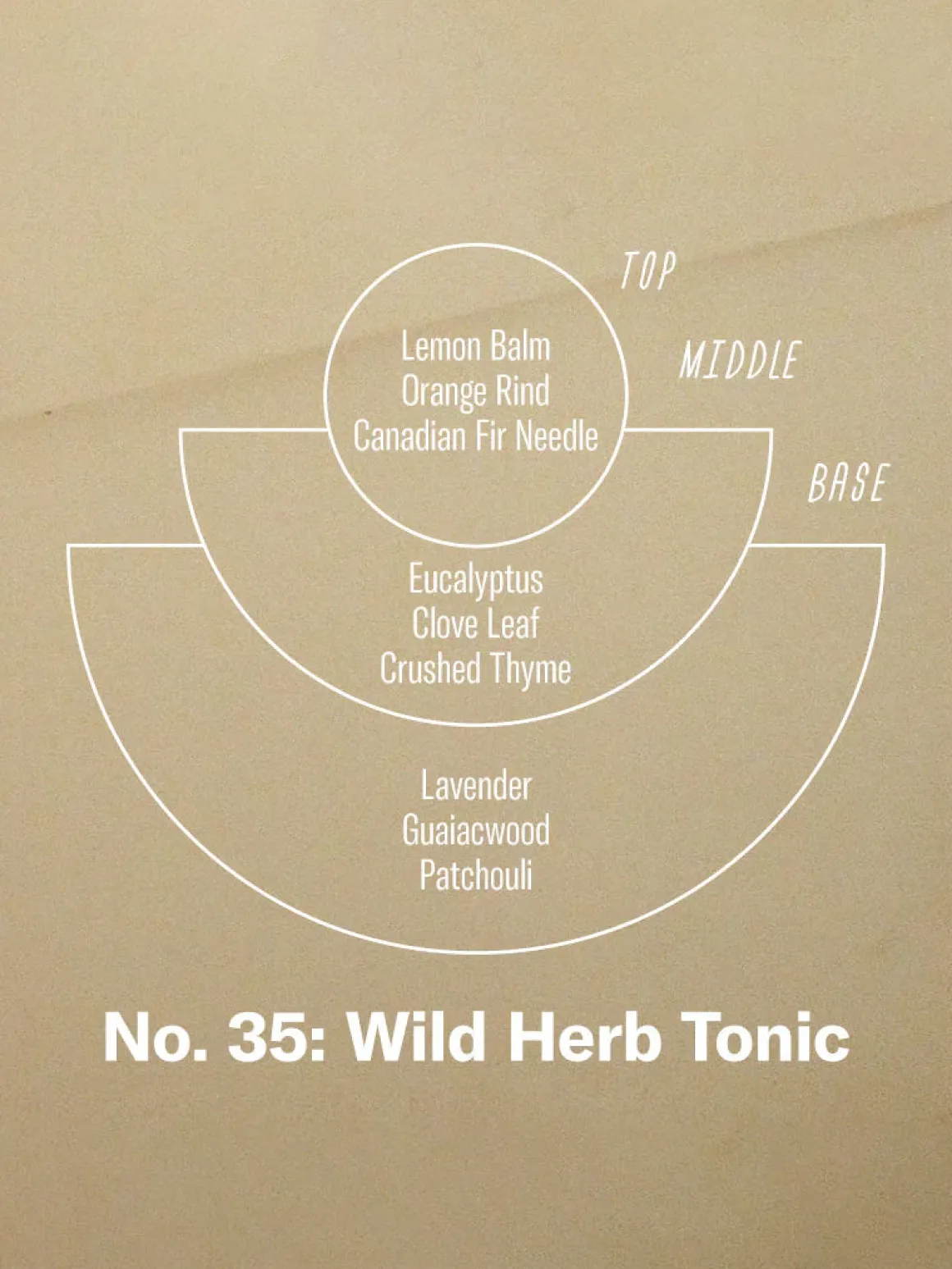 7.2oz Soy Candle - Wild Herb Tonic