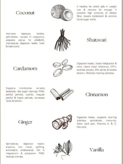 Palm of Feronia X Lady Apothecary Herbal Healing - Harmonia Masala Chai