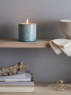 Sea & Shore Candle Pot - Wild Gorse